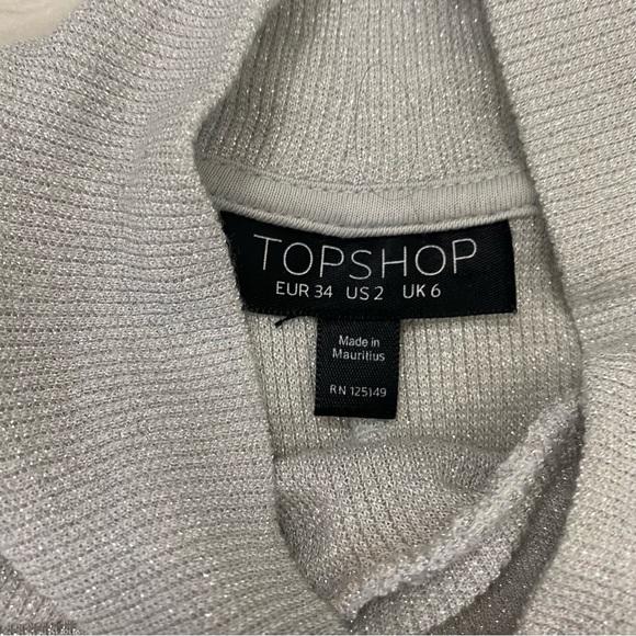 TOPSHOP Light Gray Glittery Sleeveless Long Blouse - Picture 5 of 5